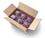 8-Pack Individually Wrapped Cranberry Muffin 6 Thumbnail