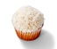 12-Pack Retail Cupcake - Pina Colada 2 Thumbnail