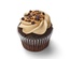 Bulk/12x Chocolate Peanut Butter Cupcake 2 Thumbnail