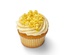 6-Pack Small Lemon Zest Cupcake 2 Thumbnail